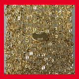 Gold-plated Long Mesh Chain Necklace